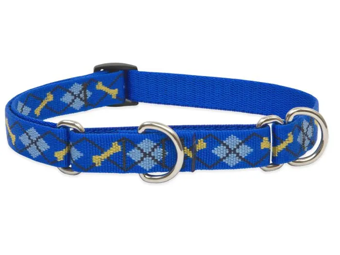 Lupine 3/4" Dapper Dog 10-14" Martingale