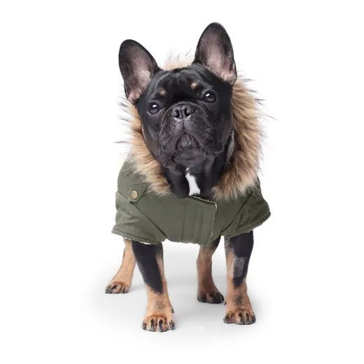 Alaskan Parka In Army Green 24"