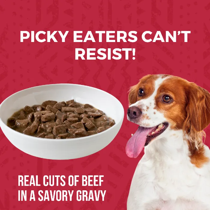 Koha Dog Beef Stew 12.7oz