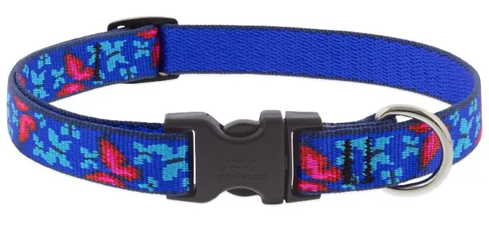 Lupine 3/4" Adj. Collar Social Butterfly 15-25"