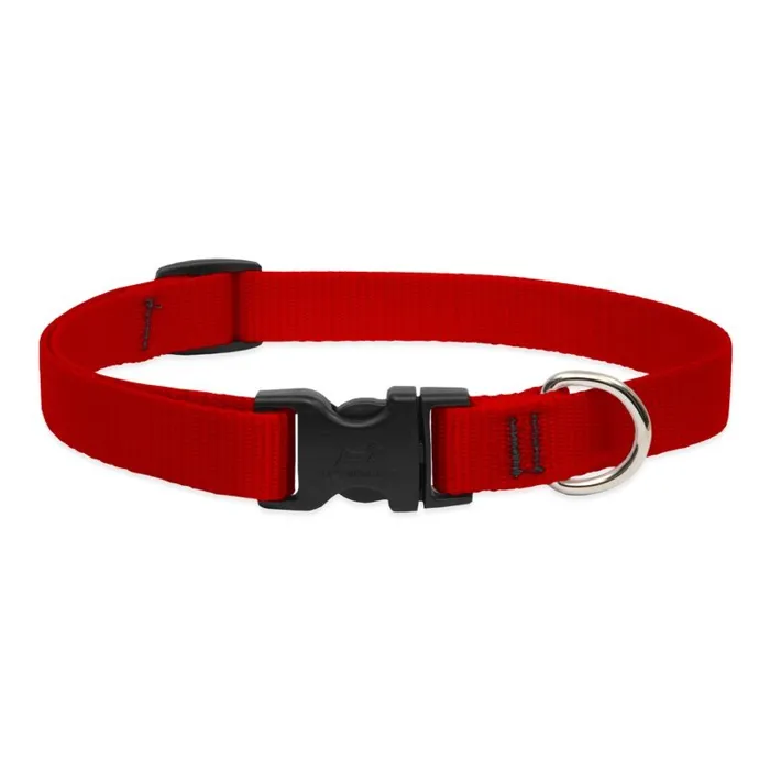 Lupine 3/4" Adj. Collar Red 15-25"