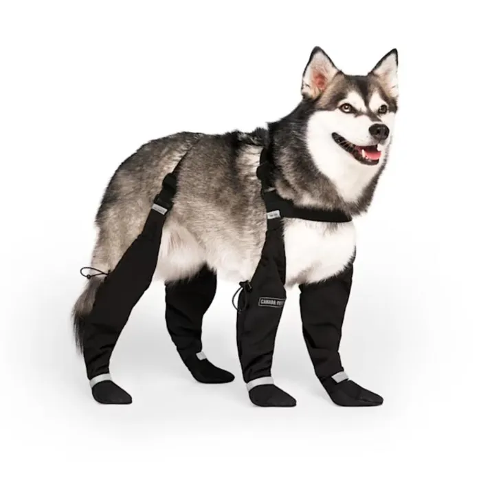 Canada Pooch Suspender Boots Short #4