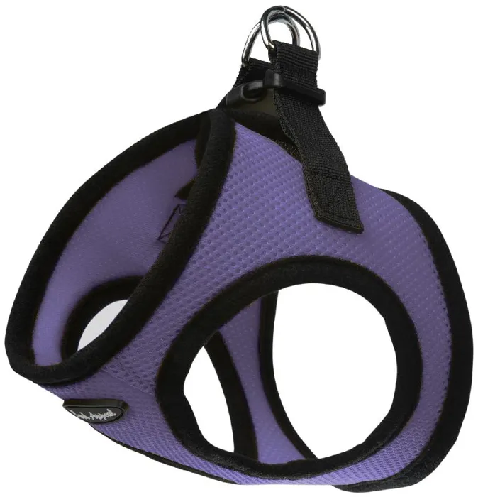 Bark Appeal EZ Wrap Lavender XXL