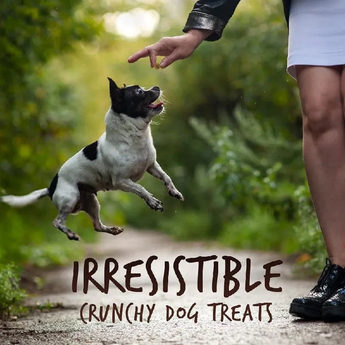 Fruitables Skinny Mini Gr Bisn Treat 5Oz