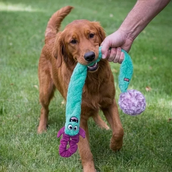 KONG Woozles Tug ’n Chase Large/XL green-purple dog play