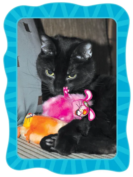 Fatcat Classics Fluff Bunnies Catnip Toy Assorted