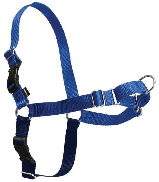 Easy Walk Harness S/M Royal