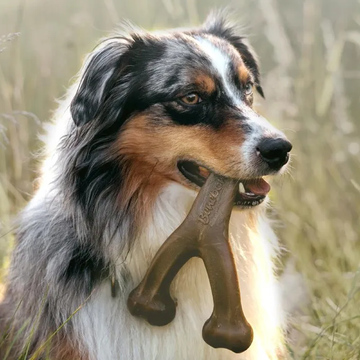 Benebone Wishbone Peanut Butter Md
