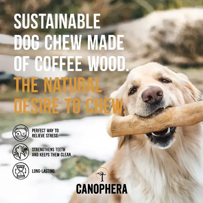 Canophera Coffee Wood Chew Stick Large
