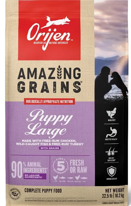 Orijen Dog Am Grain Large Breed Puppy 22.5#