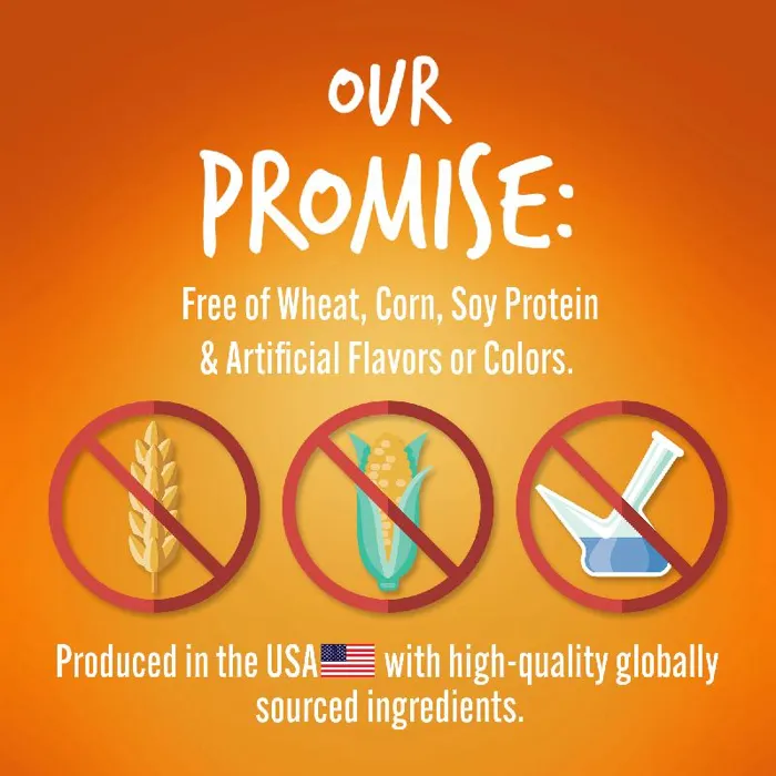 Fruitables Skinny Mini Pumpkin/Mango Treat 5 oz