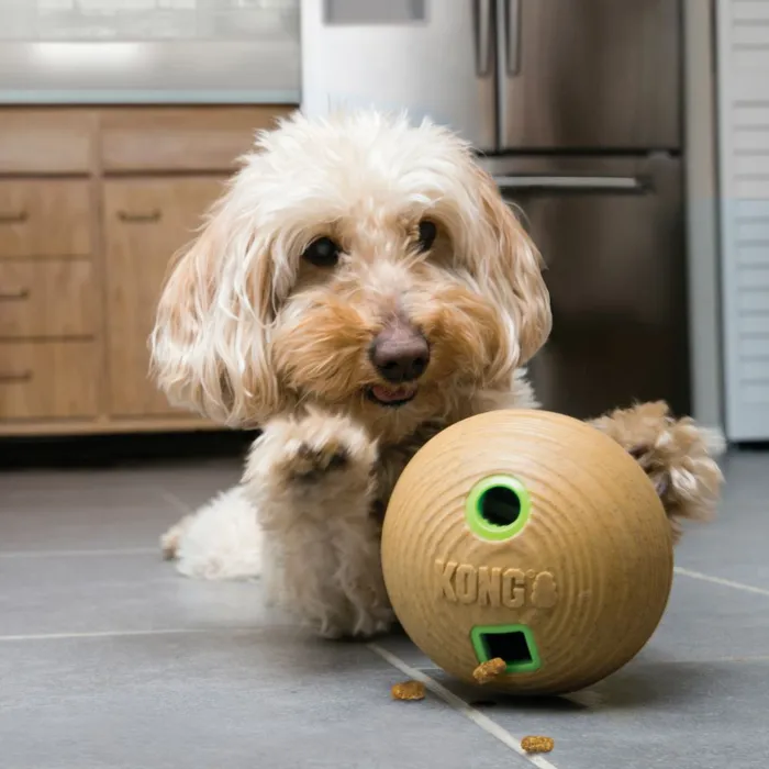 Kong Bamboo Dumbbell Md