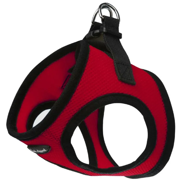 Bark Appeal EZ Wrap Red SM