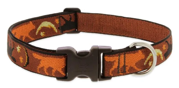 Lupine 1" Adj. Collar Shadow Hunter 16"-28"
