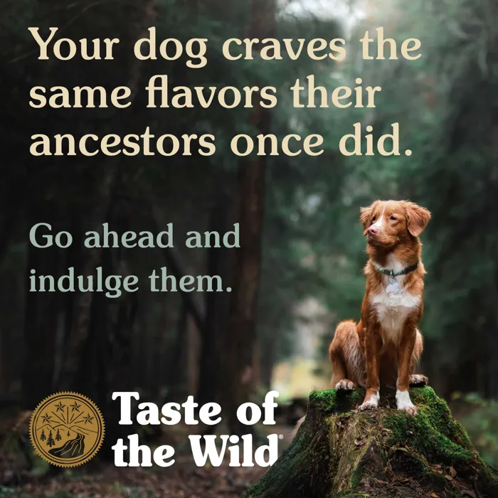 TOW Ancient Stream Dog 28#