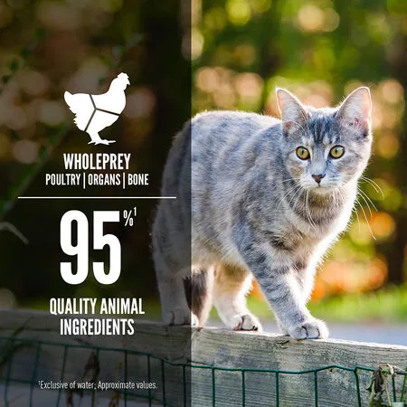 Orijen Cat Original 3oz