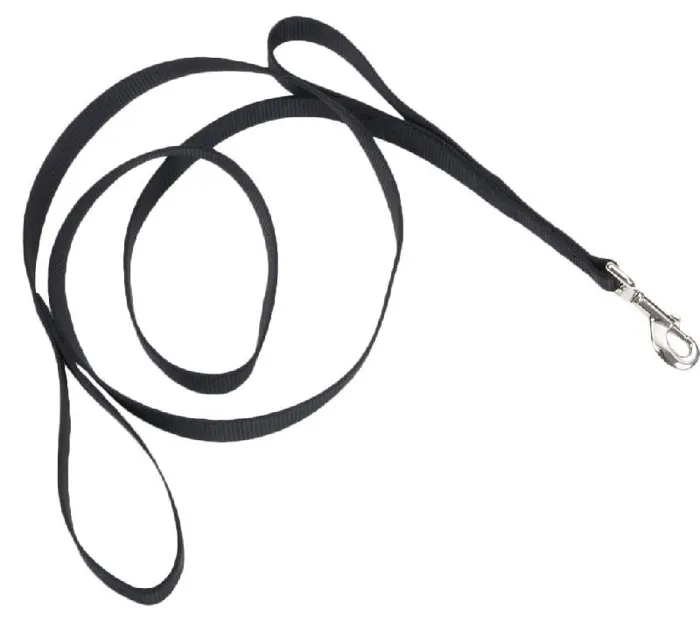 Coastal Double Handle Dog Leash Black 1" X 06'