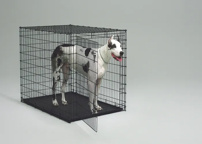 Starter Series Training Crate 54"x37"x45" Black