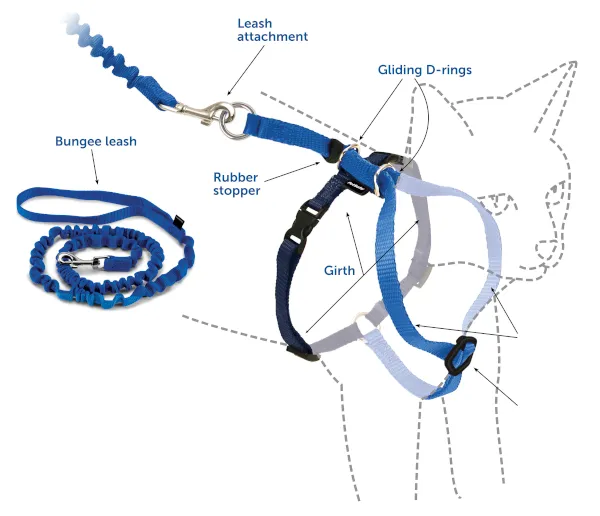 Harness & Bungee Leash Large Lilac Large