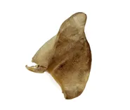 Raw Bar Freeze-dried Pig Ear Treat For Dogs - 1 Pi