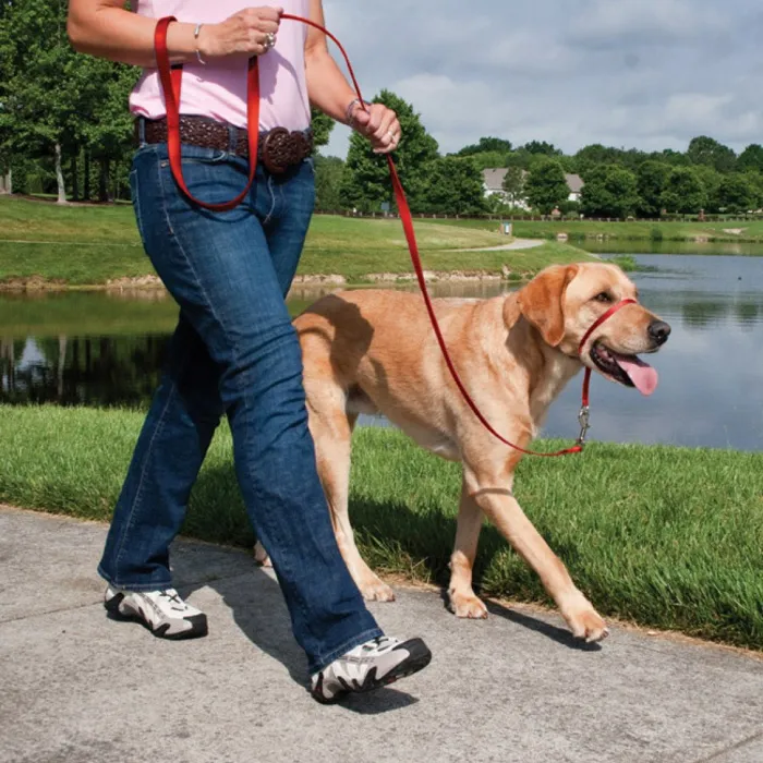 Gentle Leader Headcollar Medium 25-60 Lbs Black