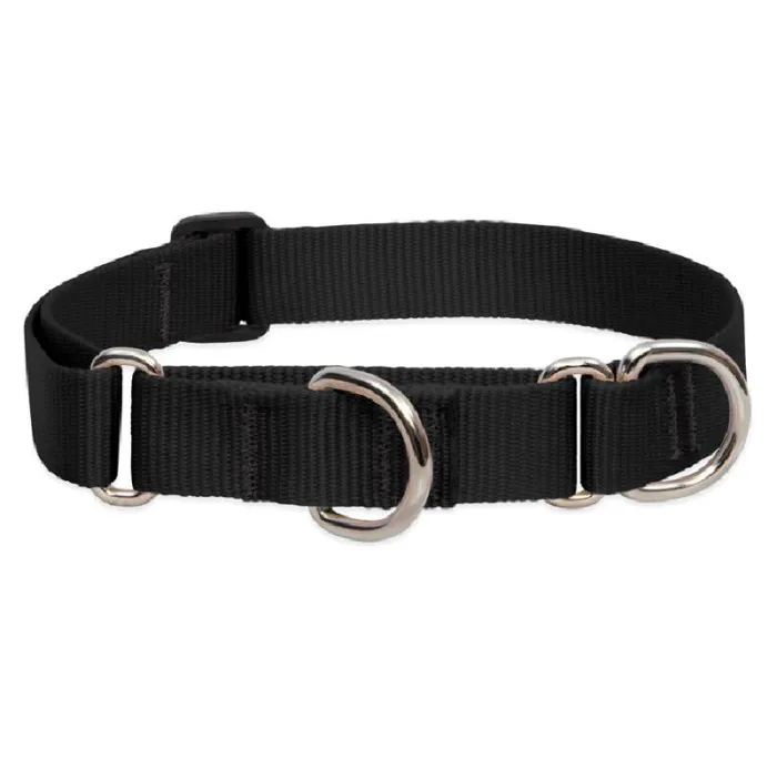 Lupine Dog Combo Martingale Black "19-27 X 1"