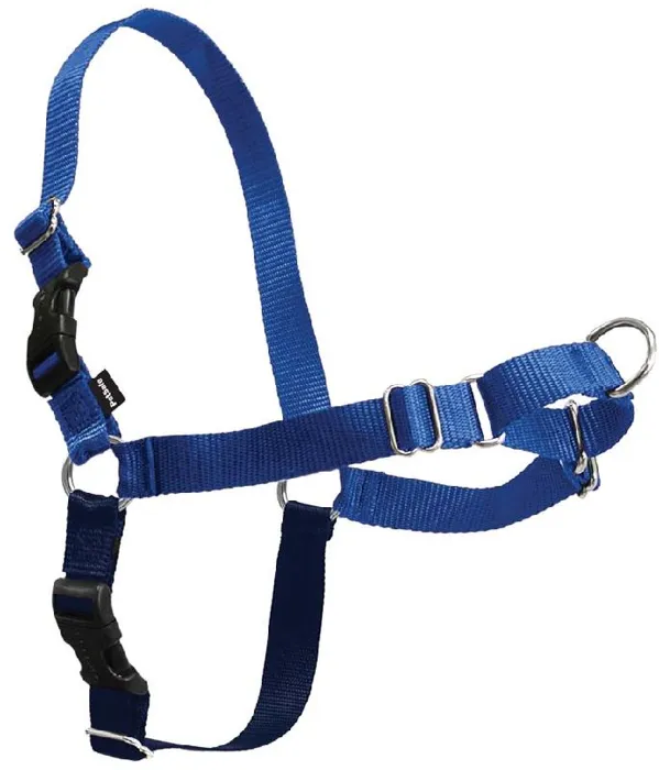 Easy Walk Harness M/L Royal
