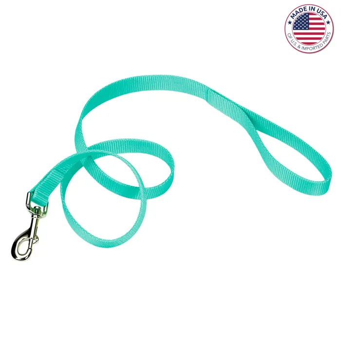 Single Ply Dog Leash - Teal 3/4" X 6'