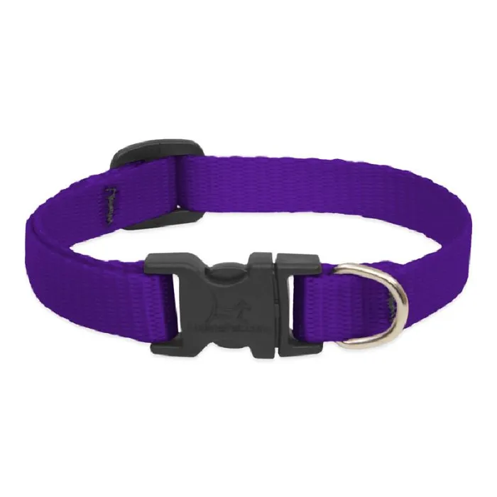 Lupine Adjustable Collar 1/2" 10-16" Purple