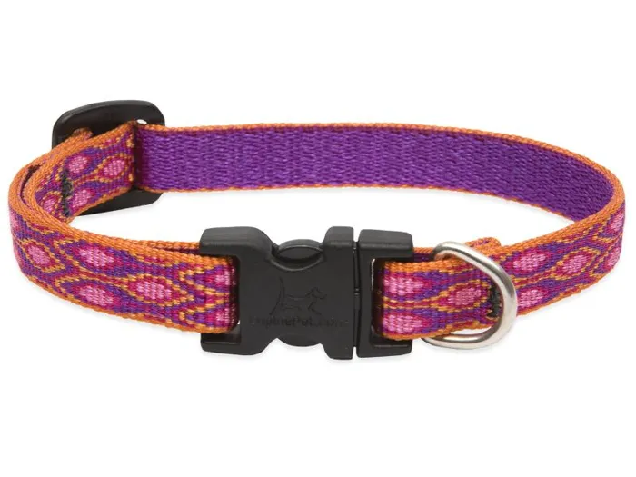 Lupine 1/2" Adj. Collar Alpen Glow 10"-16"
