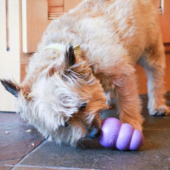 Classic Senior Dog Toy Large
