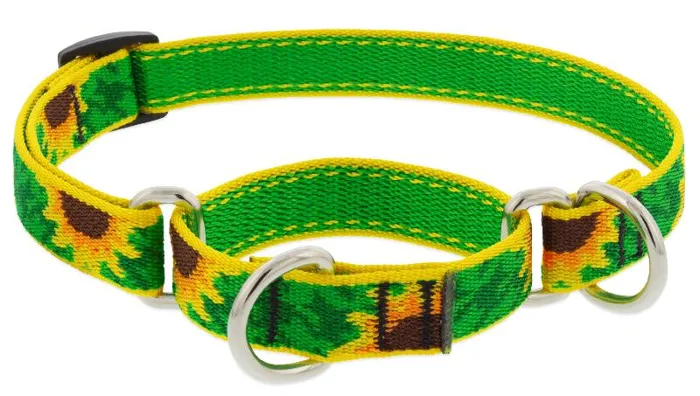 Lupine 1" Sunflower 19-27" Martingale