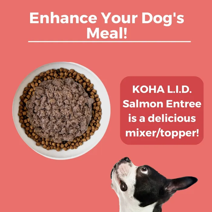 Koha Dog Salmon 13.2oz