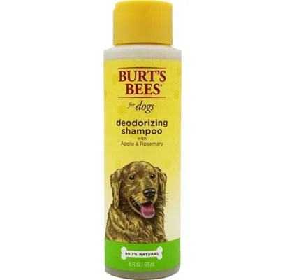 Burts Bees Deodorzng Shamp 16z