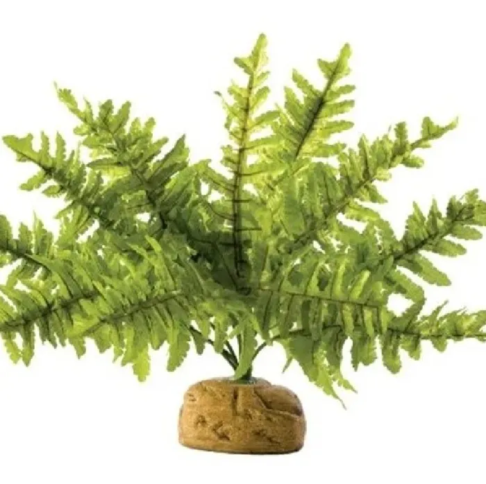 Exo-Terra Plant Small, Boston Fern