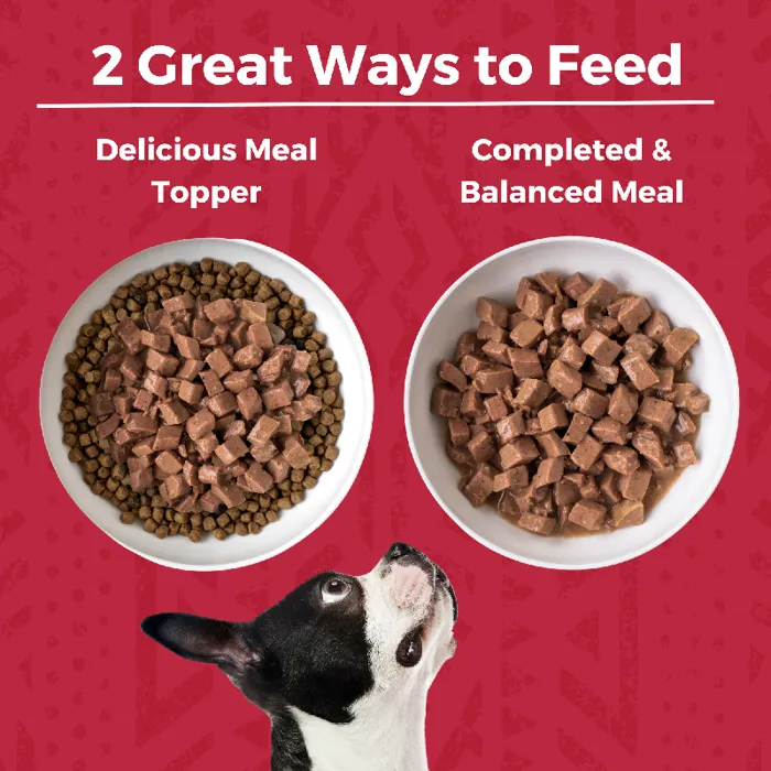 Koha Dog Beef Stew 12.7oz