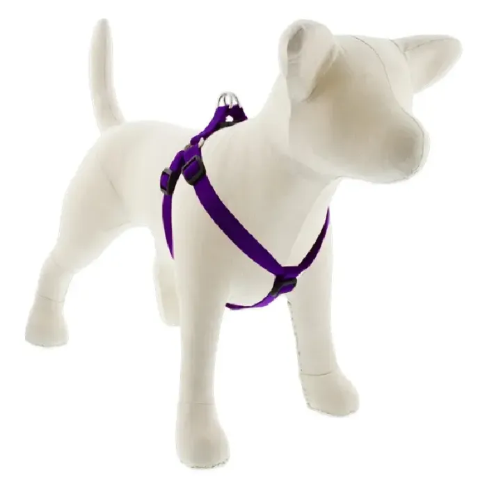 Lupine Harness 20"-30" Purple Basic Purple 20"-30"