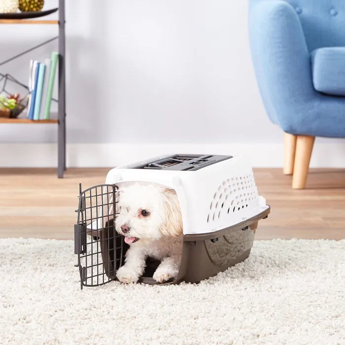 Two Door Top Load Pet Kennel Wht 19.4"x12.8"x10"