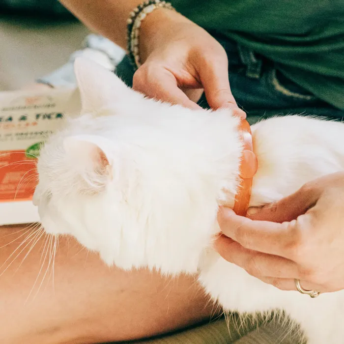 Wondercide Cat Flea/Tick Collar Peppermint