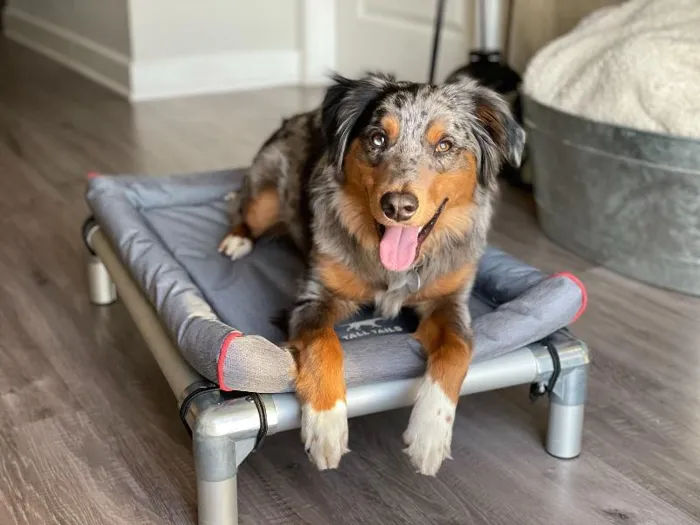 Tall Tails Crate Pad W Bungee Balls Gray Lrg 42x28