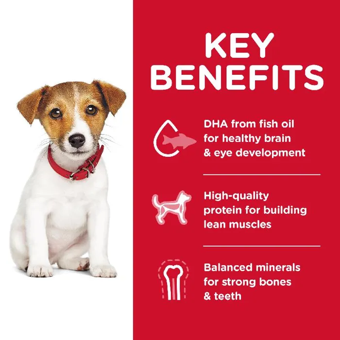 Science Diet Puppy Small Bite Chicken 4.5#