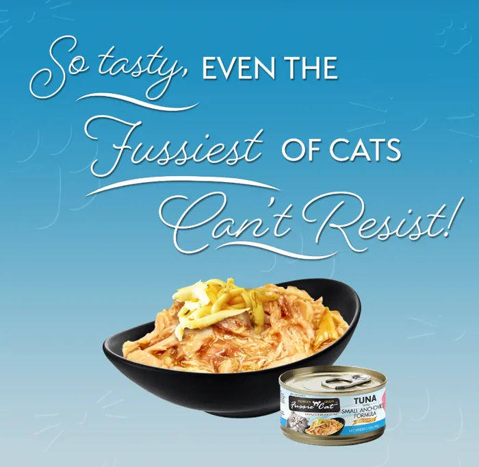 Fussie Cat Tuna & Small Anchovy Gravy 2.82oz