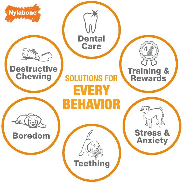 Nylabone Original Flavored Bone Regular