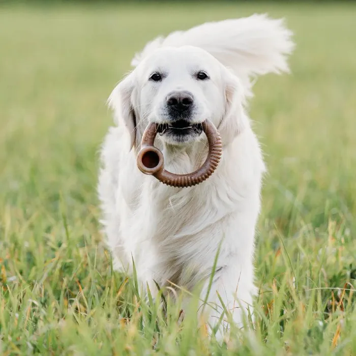 Benebone Chew Ring Bacon Large