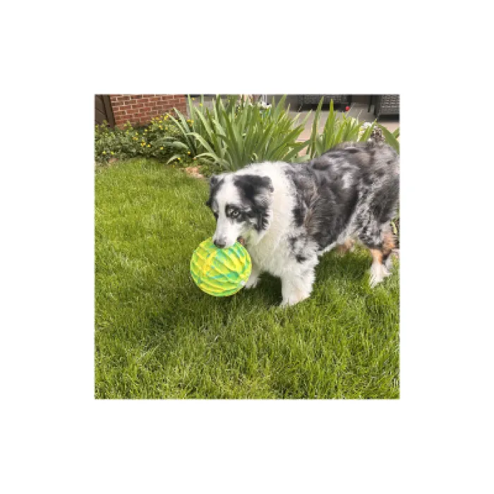 Kong Flexball Yellow Sport Ball XL