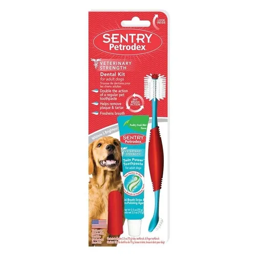 Dental Kit Dog Poulty Paste