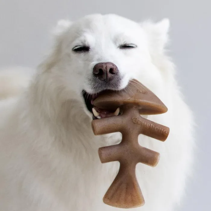 Benebone Fishbone Large