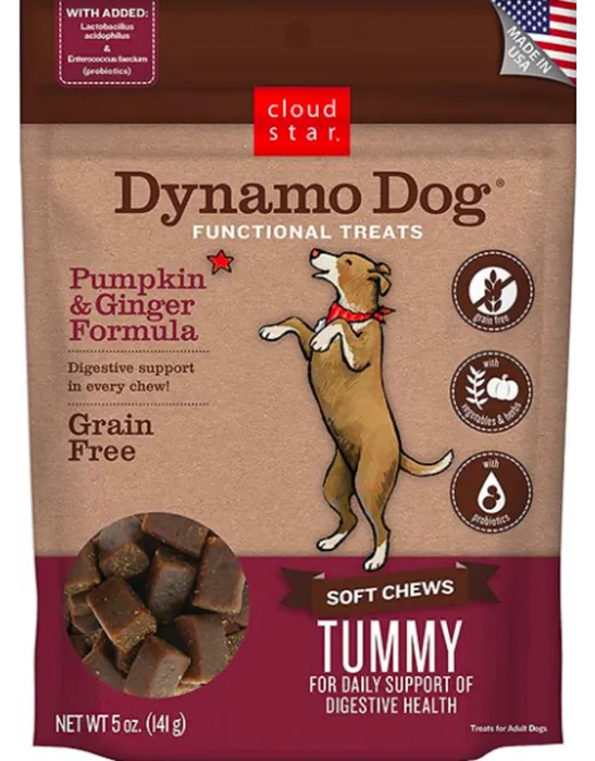 Cloud Star Dynamo Dog Pumpkin/ginger 14 Oz