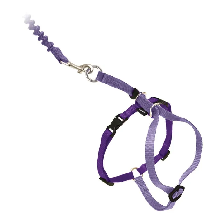 Harness & Bungee Leash Large Lilac Large