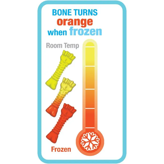 Nylabone Puppy Freezer Bone Souper